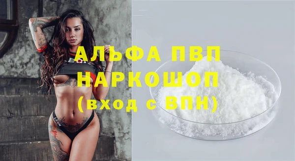 прущий лед Ладушкин