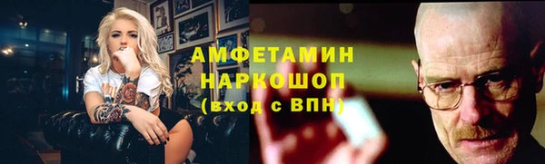 винт Лагань