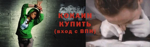 винт Лагань