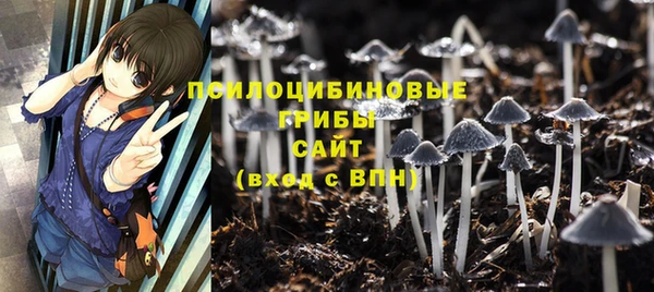 прущий лед Ладушкин