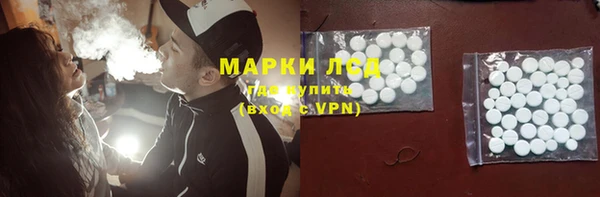 винт Лагань
