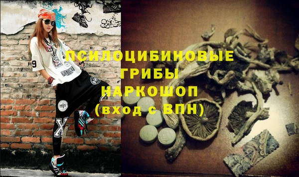 прущий лед Ладушкин