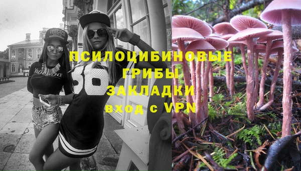 винт Лагань